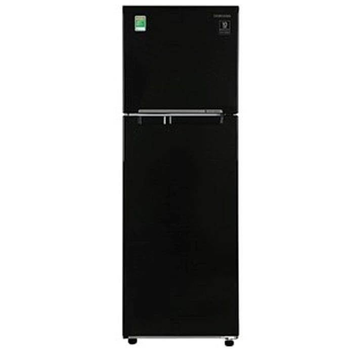 Tủ lạnh Samsung Inverter 256 lít RT25M4032BU/SV-RT25M4032BU