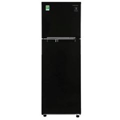 Tủ lạnh Samsung Inverter 256 lít RT25M4032BU/SV-RT25M4032BU