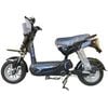 Xe điện Michi H3