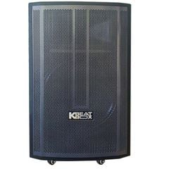 Loa kéo ACNOS CB99GE