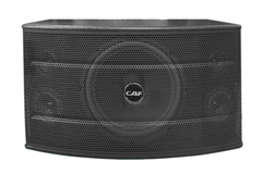 Loa Karaoke CAF TW 4010