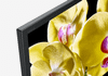 Android Tivi Sony 4K UHD 49 inch KD 49X8000G
