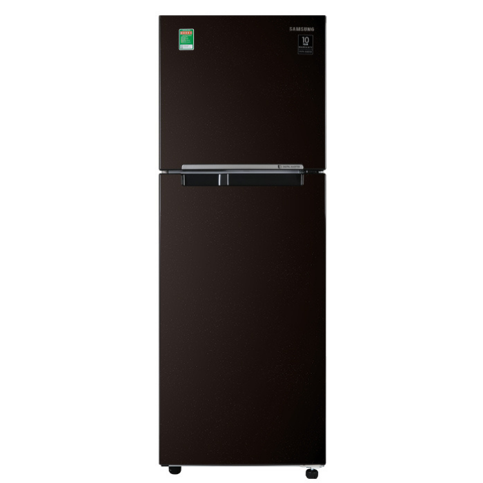 Tủ lạnh Samsung Inverter 236 lit RT22M4032BY/SV-RT22M4032BY