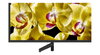 Android Tivi Sony 4K UHD 49 inch KD 49X8000G