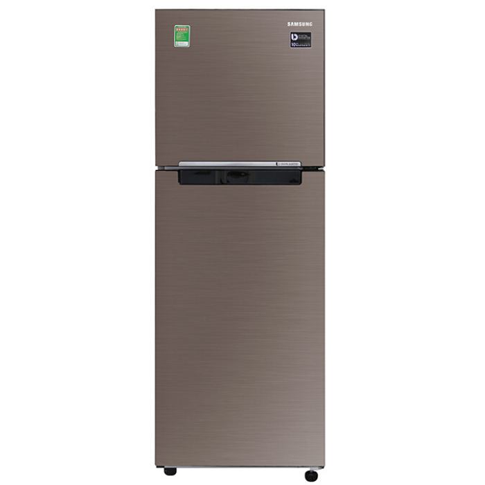 Tủ lạnh Samsung RT22M4032DX/SV 236 lít Inverter
