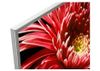Android Tivi Sony 4K 49 inch KD 49X8500G
