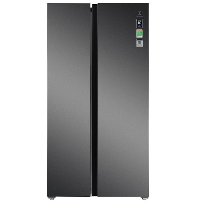 Tủ lạnh Electrolux Inverter 624 Lít ESE6600A - ESE6600A AVN