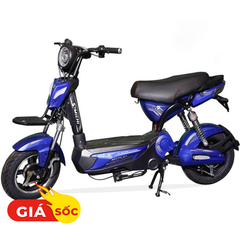 Xe điện Michi S9