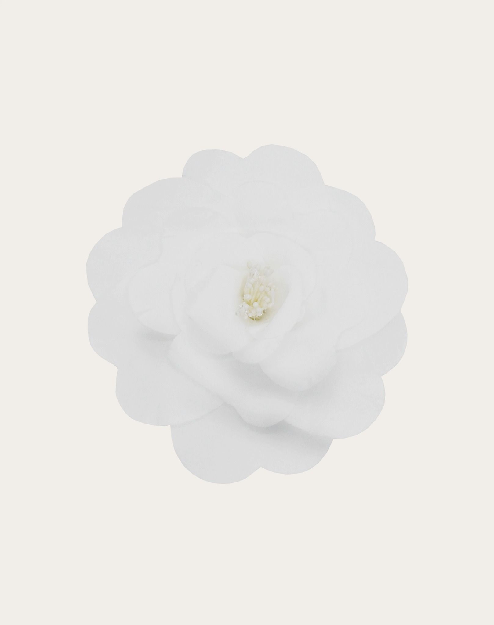 Phụ kiện nữ Philosophy A 3801 0744