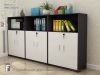 Tủ tài liệu F-TL35