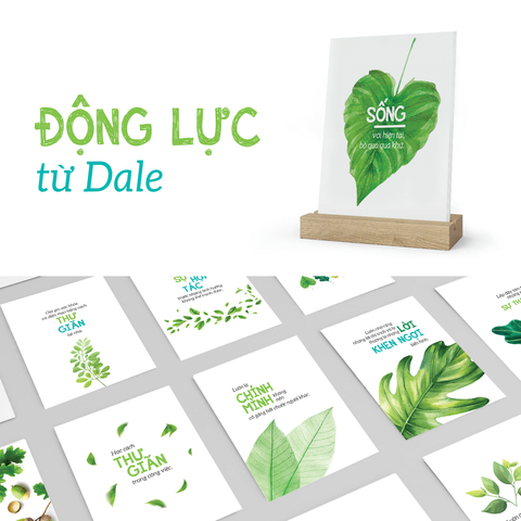 Bộ card 