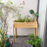  Kệ đựng cây cảnh ngoài trời gỗ thông tự nhiên FEGO decor, trang trí ban công 