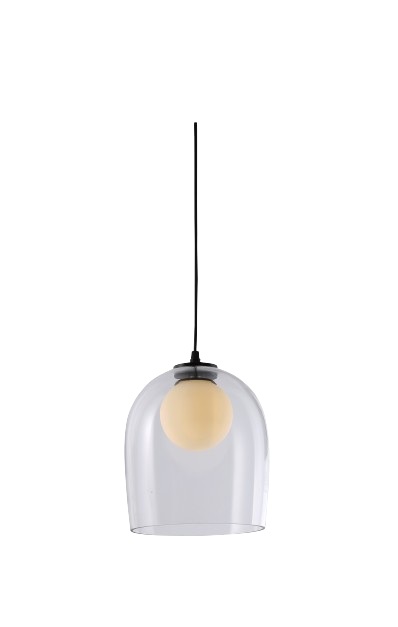Đèn thả đơn DJS316/B