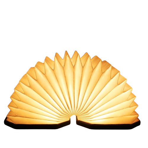 Đèn Để Bàn Led DL2