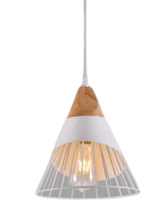 Đèn thả đơn DY054