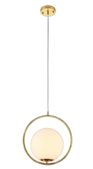 Đèn thả đơn DY2212/1