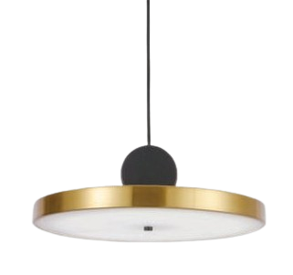 Đèn thả đơn DY3096/D