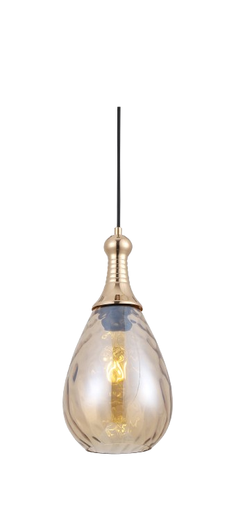 Đèn thả đơn DY4107/D