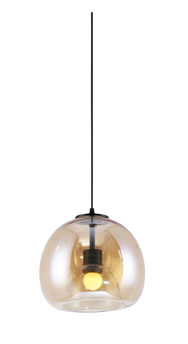 Đèn thả đơn DY4110/B