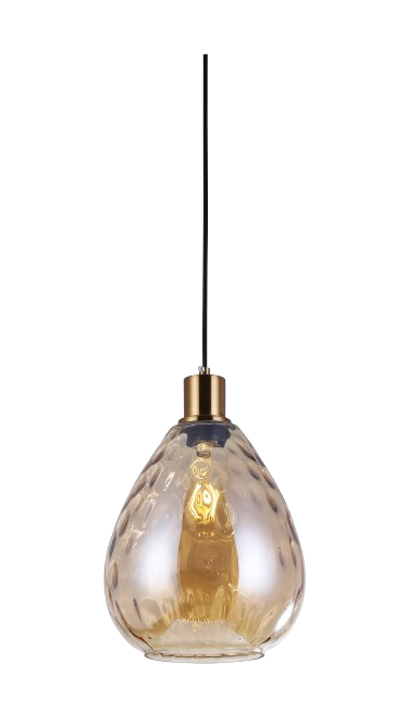 Đèn thả đơn DY4118