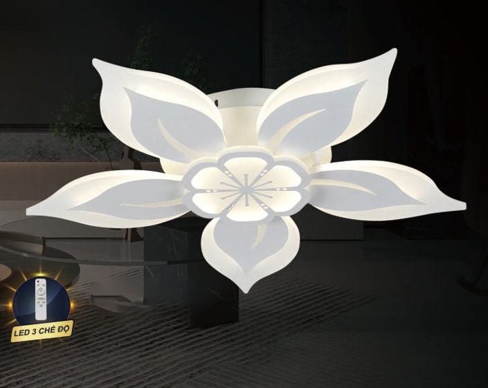 Đèn ốp trần led HS-K079