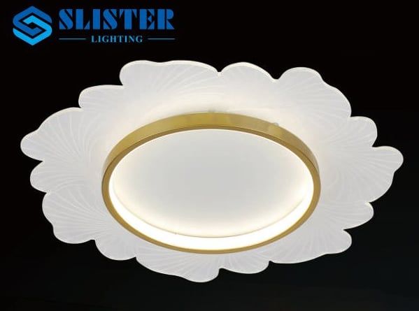 Đèn ốp trần HSA19/50