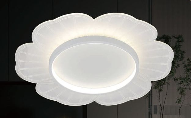 Đèn ốp trần HSA20/50