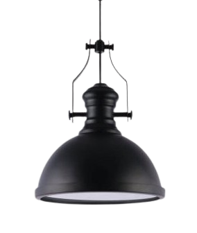 Đèn thả đơn LS1012