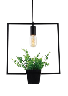 Đèn thả đơn LS1111