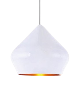 Đèn thả đơn LS5024B/TR