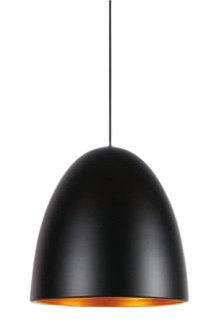 Đèn thả đơn TS-6036 Đ