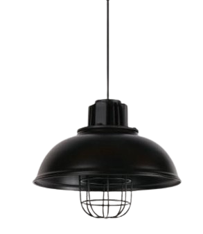 Đèn thả đơn TS-628