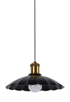 Đèn thả đơn TS-8003S