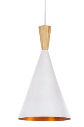 Đèn thả đơn TS-9112 TR