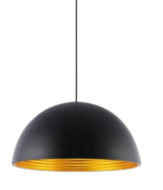 Đèn thả đơn TS2688