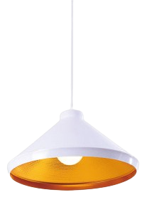 Đèn thả đơn TS2693