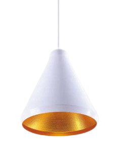 Đèn thả đơn TS2695