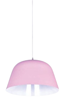 Đèn thả đơn TS2712