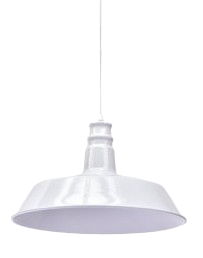 Đèn thả đơn TS2792