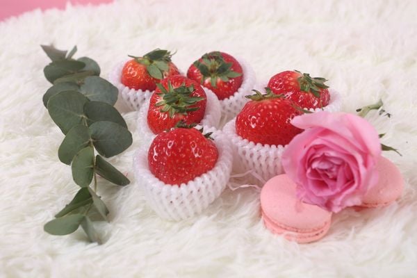  Happy Intl Women Day - Giỏ hoa quả hữu cơ nhập khẩu 7 