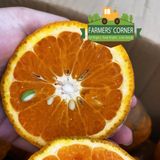  Cam sành hữu cơ Măng Đen - Quà tặng đại ngàn 