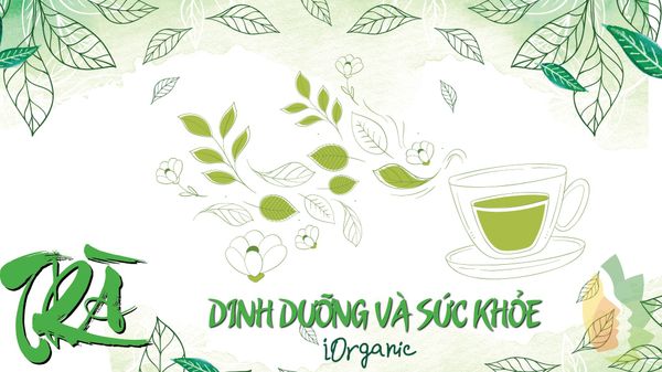  Trà Oolong SUNG VIÊN 