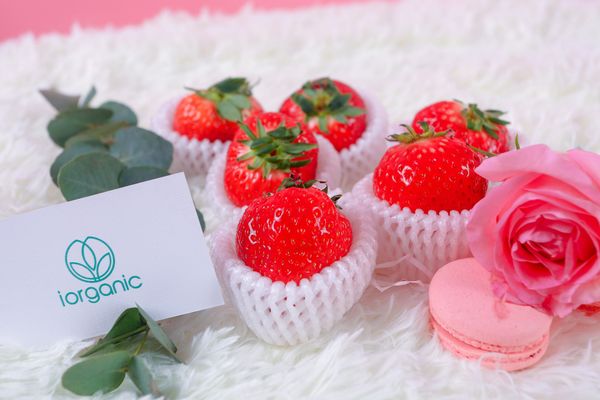  Happy Intl Women Day - Giỏ hoa quả hữu cơ nhập khẩu 5 