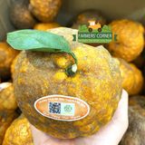  Cam sành hữu cơ Măng Đen - Quà tặng đại ngàn 