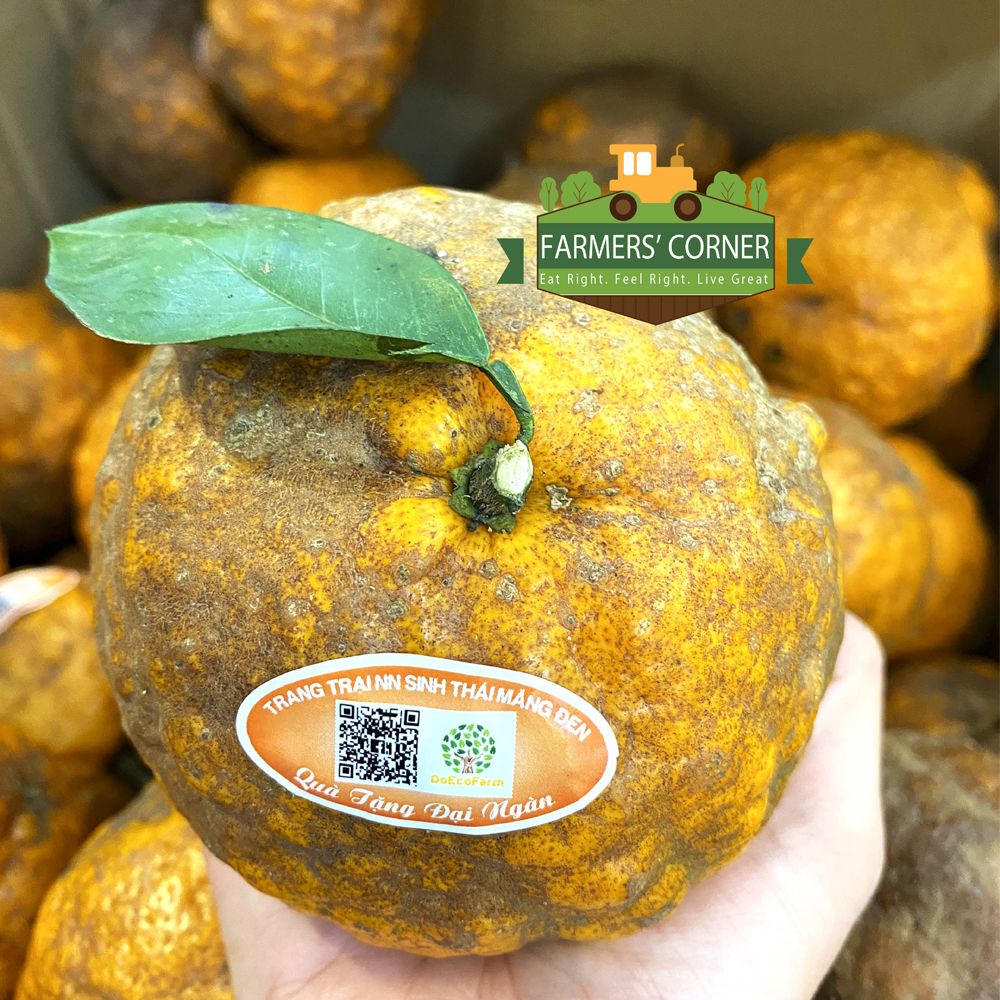  Cam sành hữu cơ Măng Đen - Quà tặng đại ngàn 