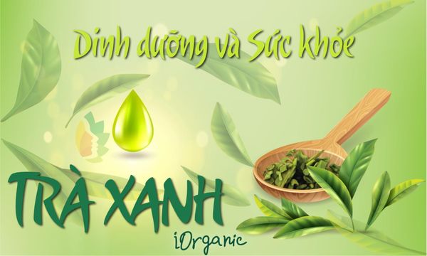  Trà hữu cơ V HERB 