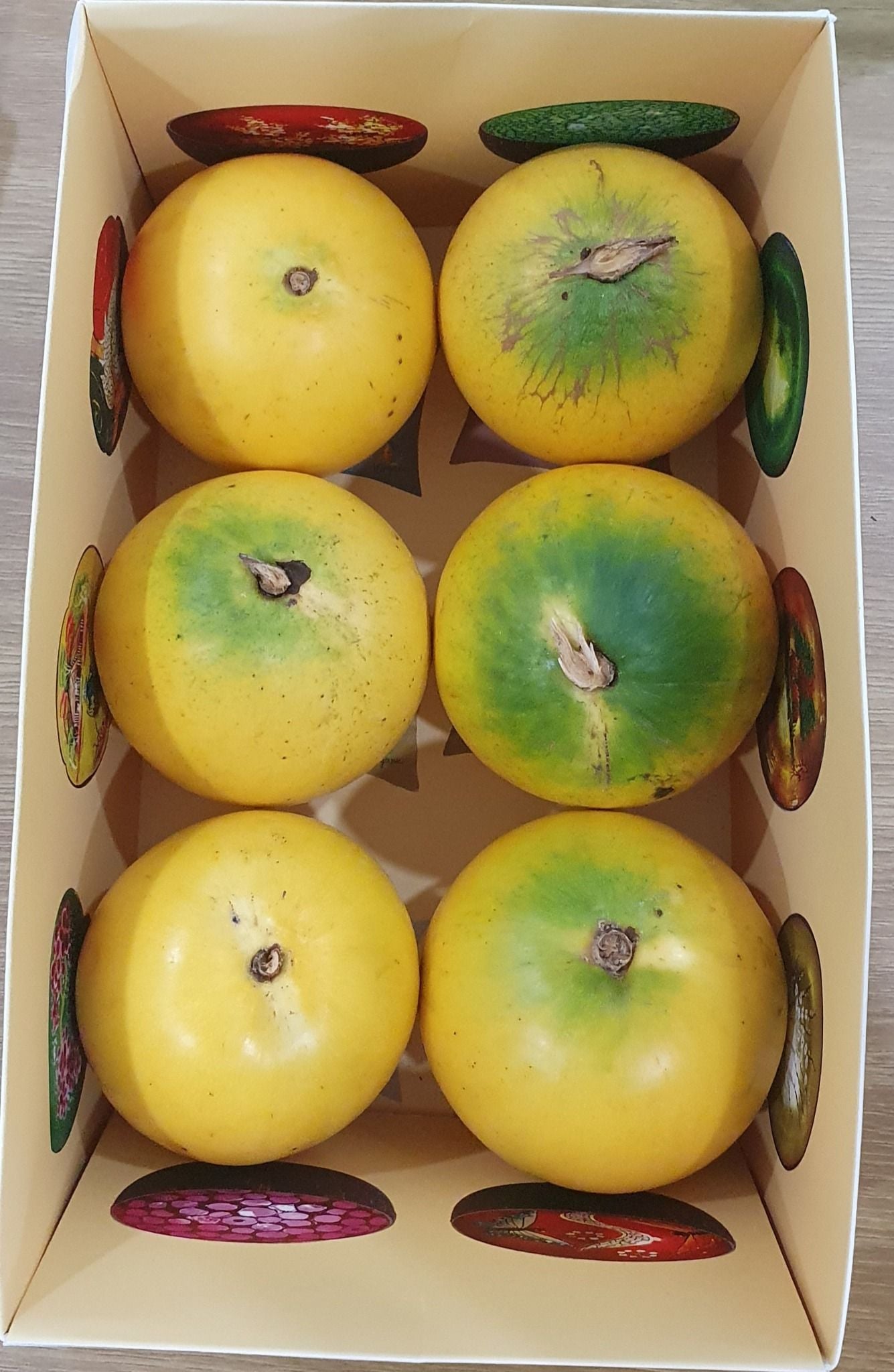  Vú sữa Hoàng Kim 