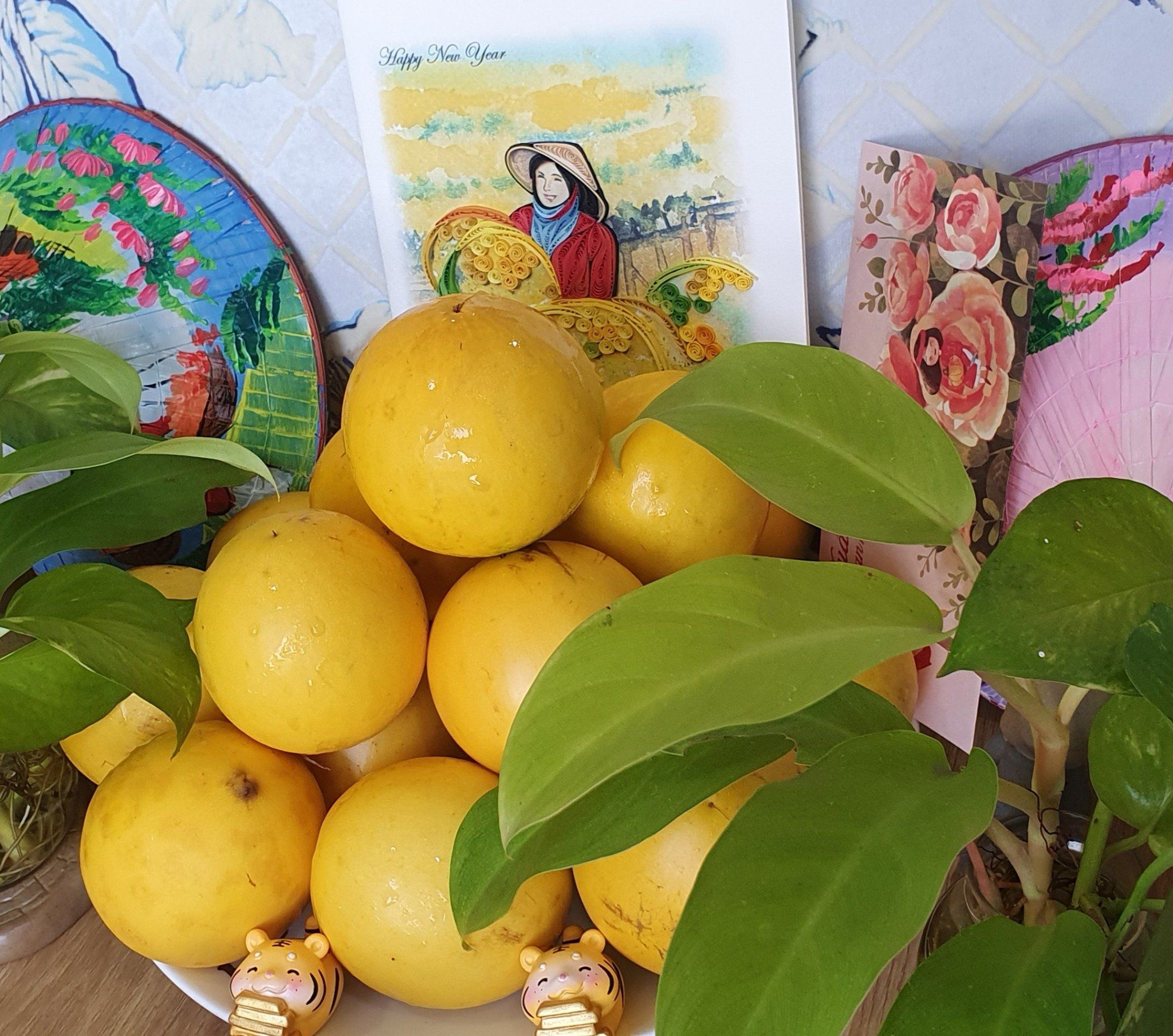  Vú sữa Hoàng Kim 