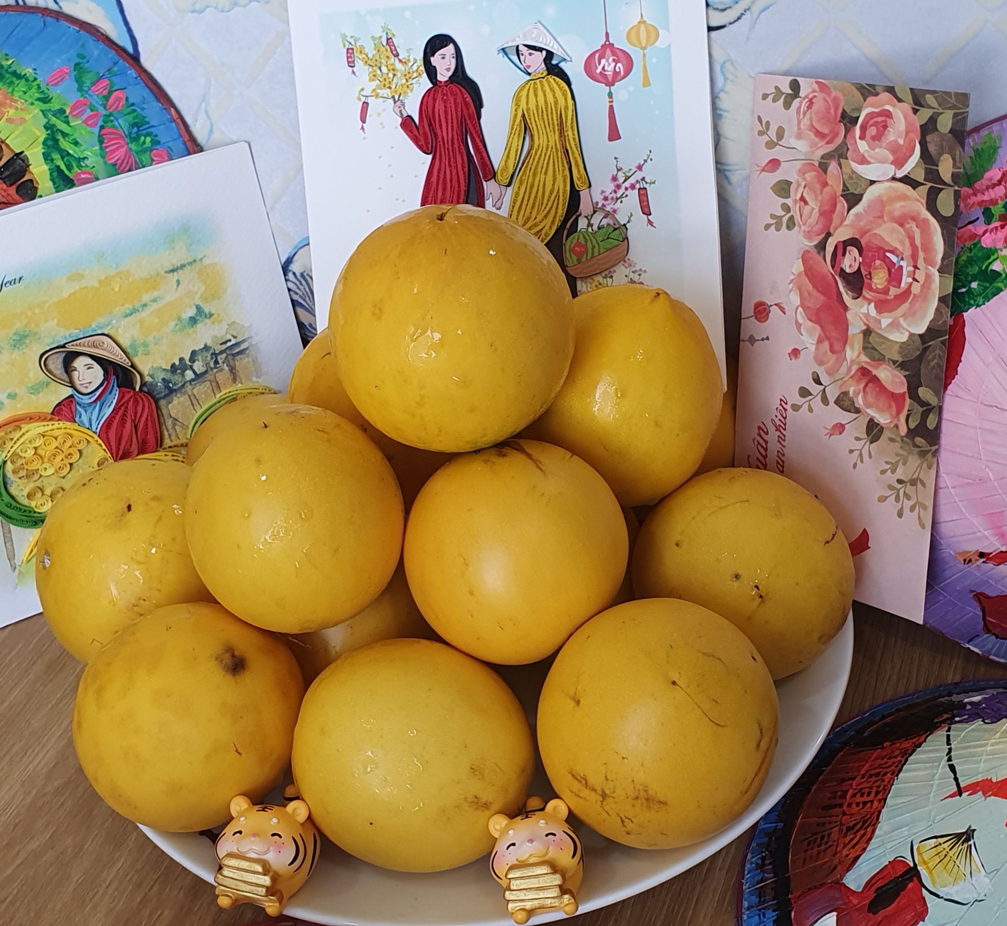  Vú sữa Hoàng Kim 