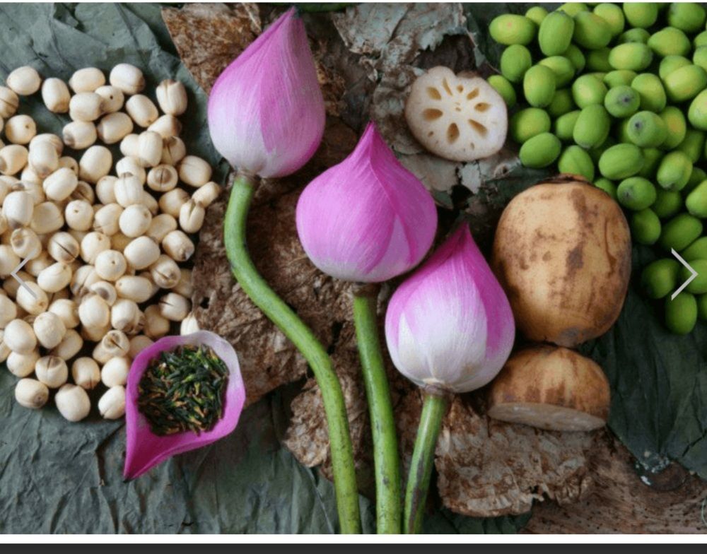  Sữa hạt sen Dotha Lotus 250 grams 